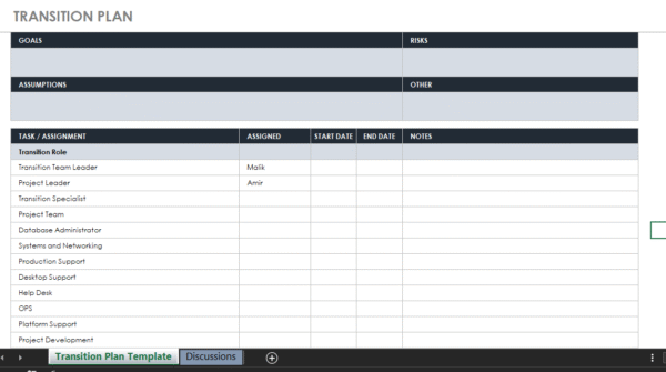 Excel Template: Transition Plan