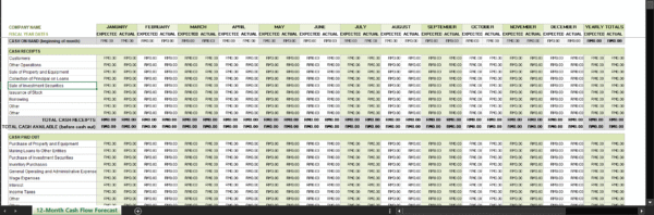 Template Excel: 12 Month Cash Flow Forecast