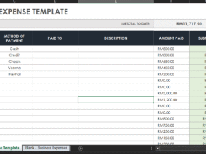 Excel Template: Business Expense